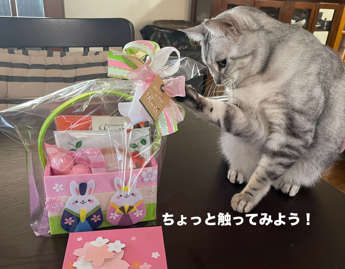 img18085_BAAEB667