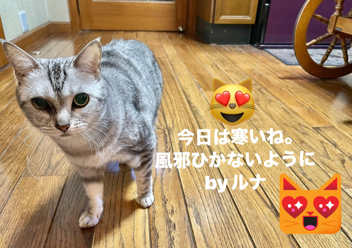 img18097_325FC192