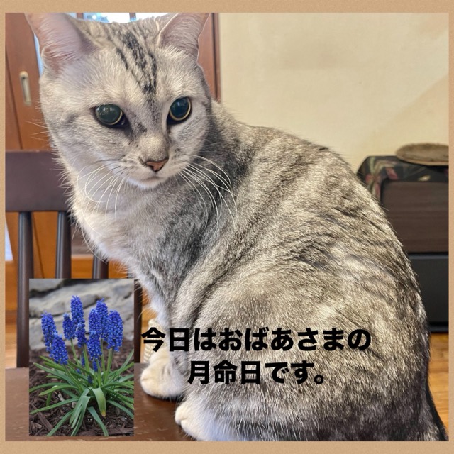 IMG_3627.jpeg