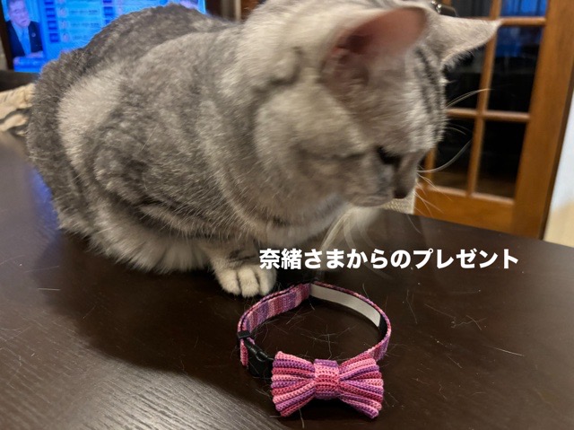 img18399_53284B4C