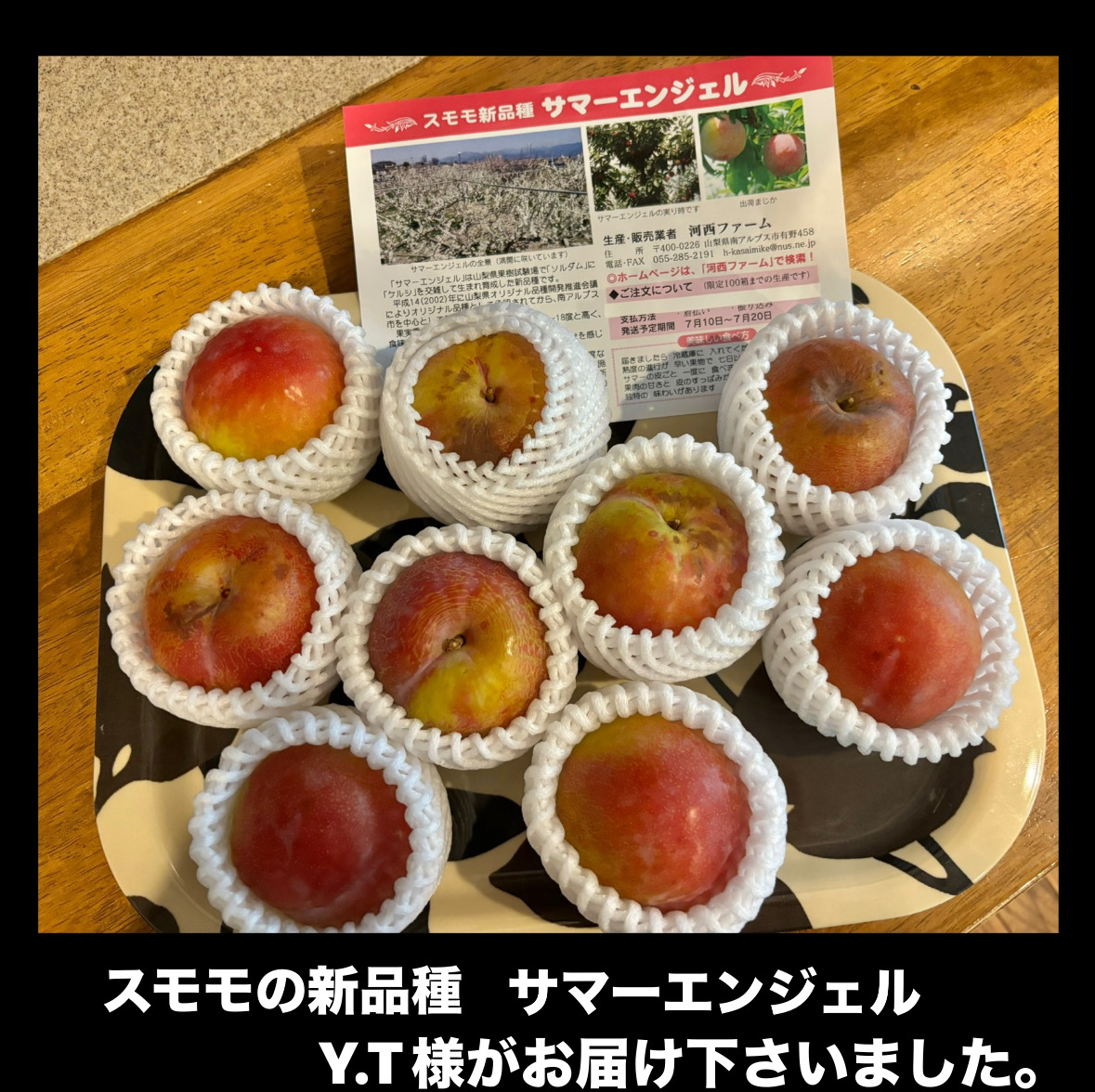 img18404_9E19E33B