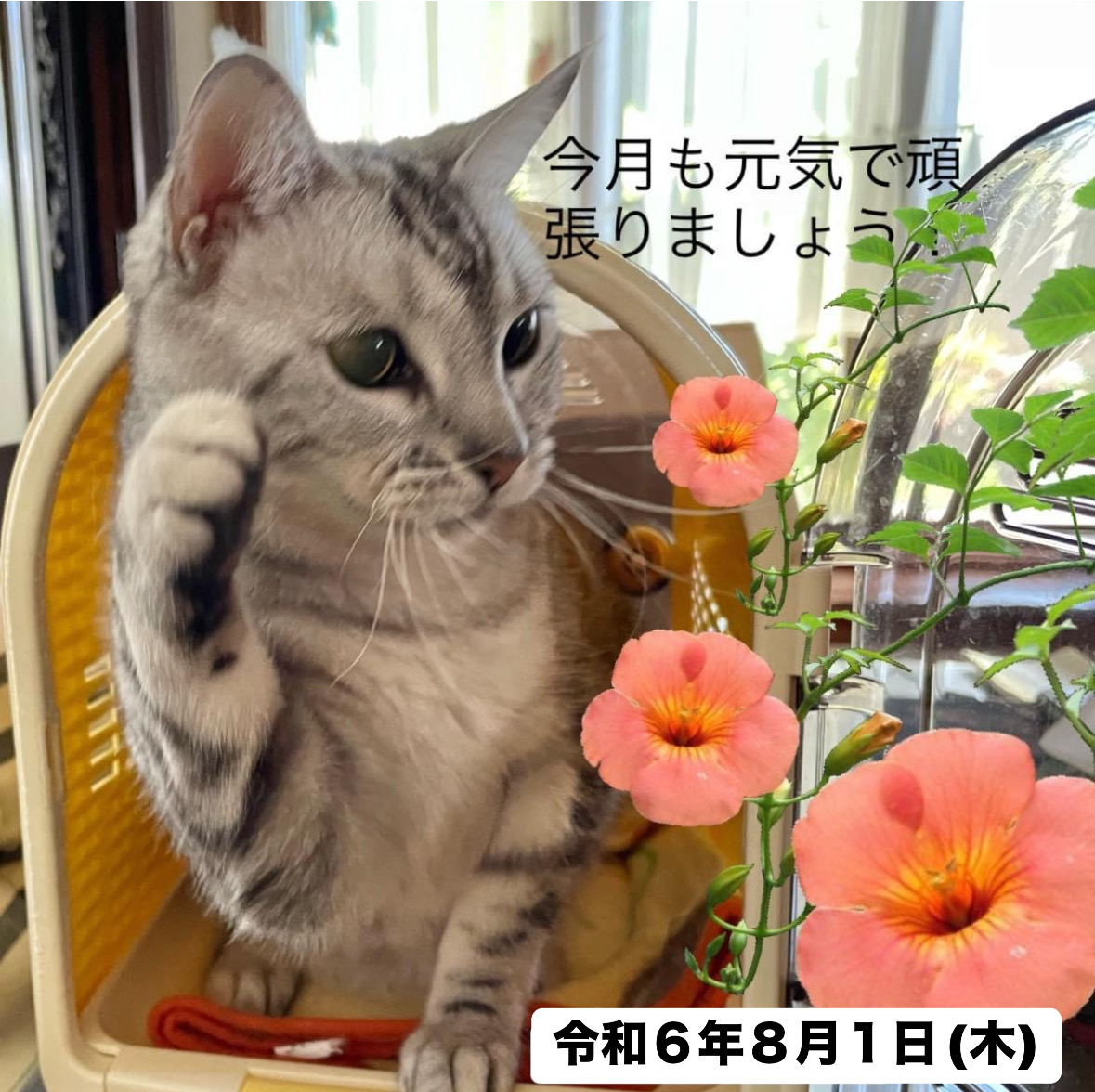 img18431_70B6FB07