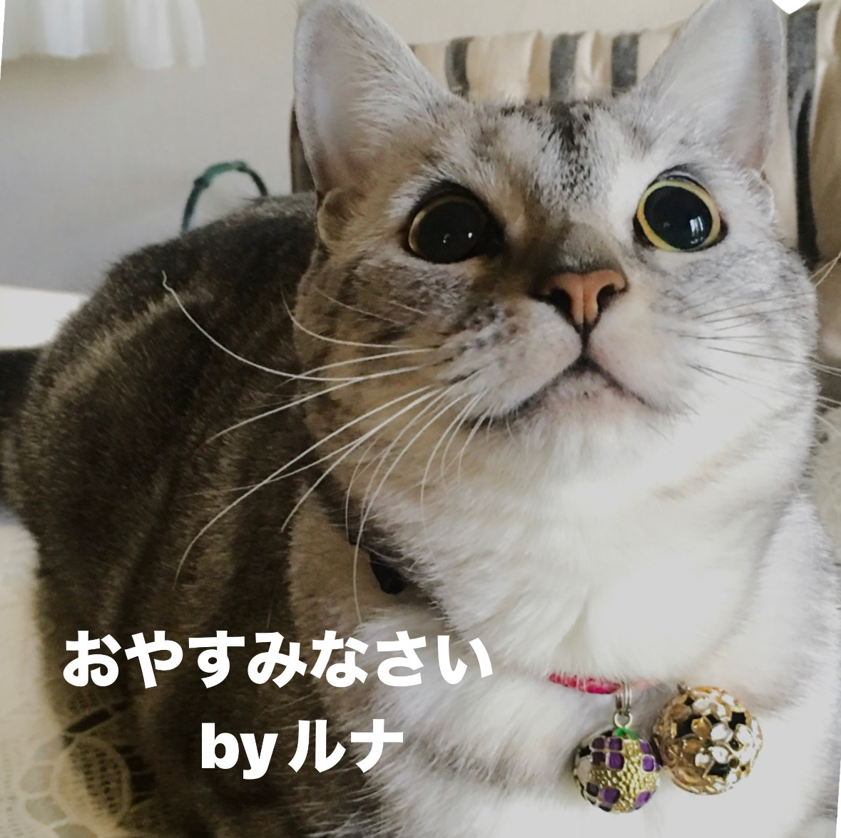 img18455_21B63443