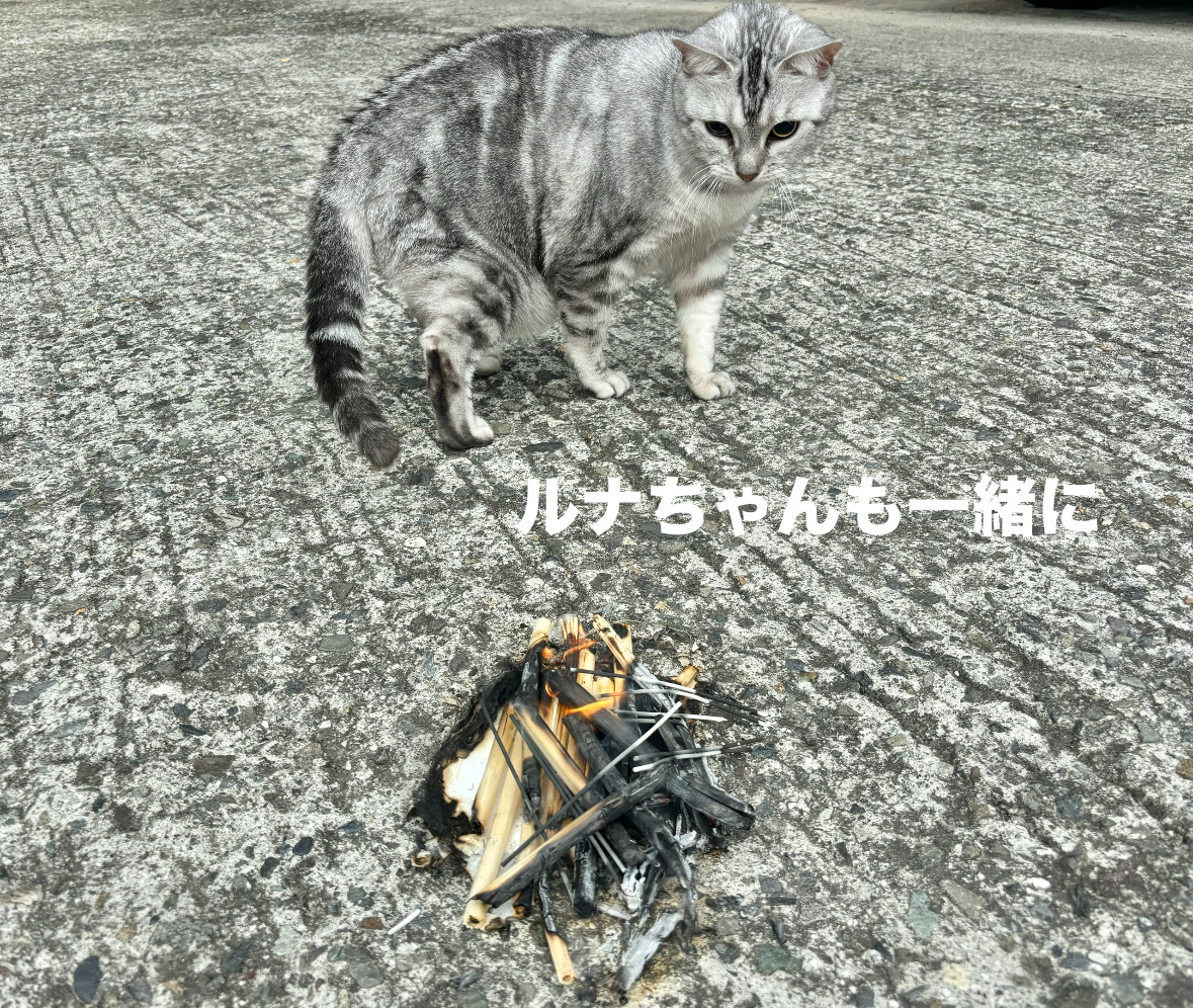 img18457_023CF19F