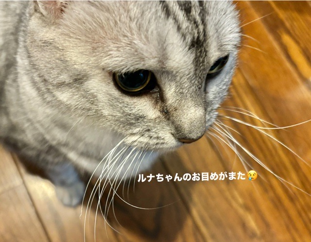 img18494_B943A555