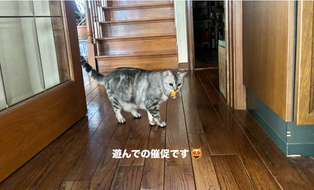 1EE50607-1B8F-4542-A84C-0D1CEFFE8953.jpeg