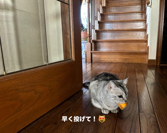 FBFBC2EB-A81C-4003-A6EB-D6263AB34AE5.jpeg