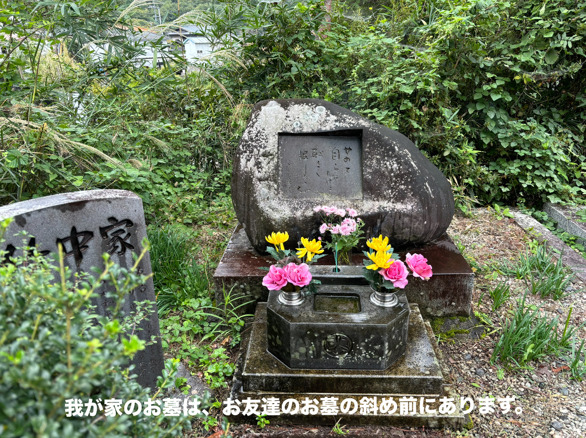 43671D47-9CFE-4EE1-89C4-5AB5DA06CE09.jpeg 43671D47-9CFE-4EE1-89C4-5AB5DA06CE09.jpeg