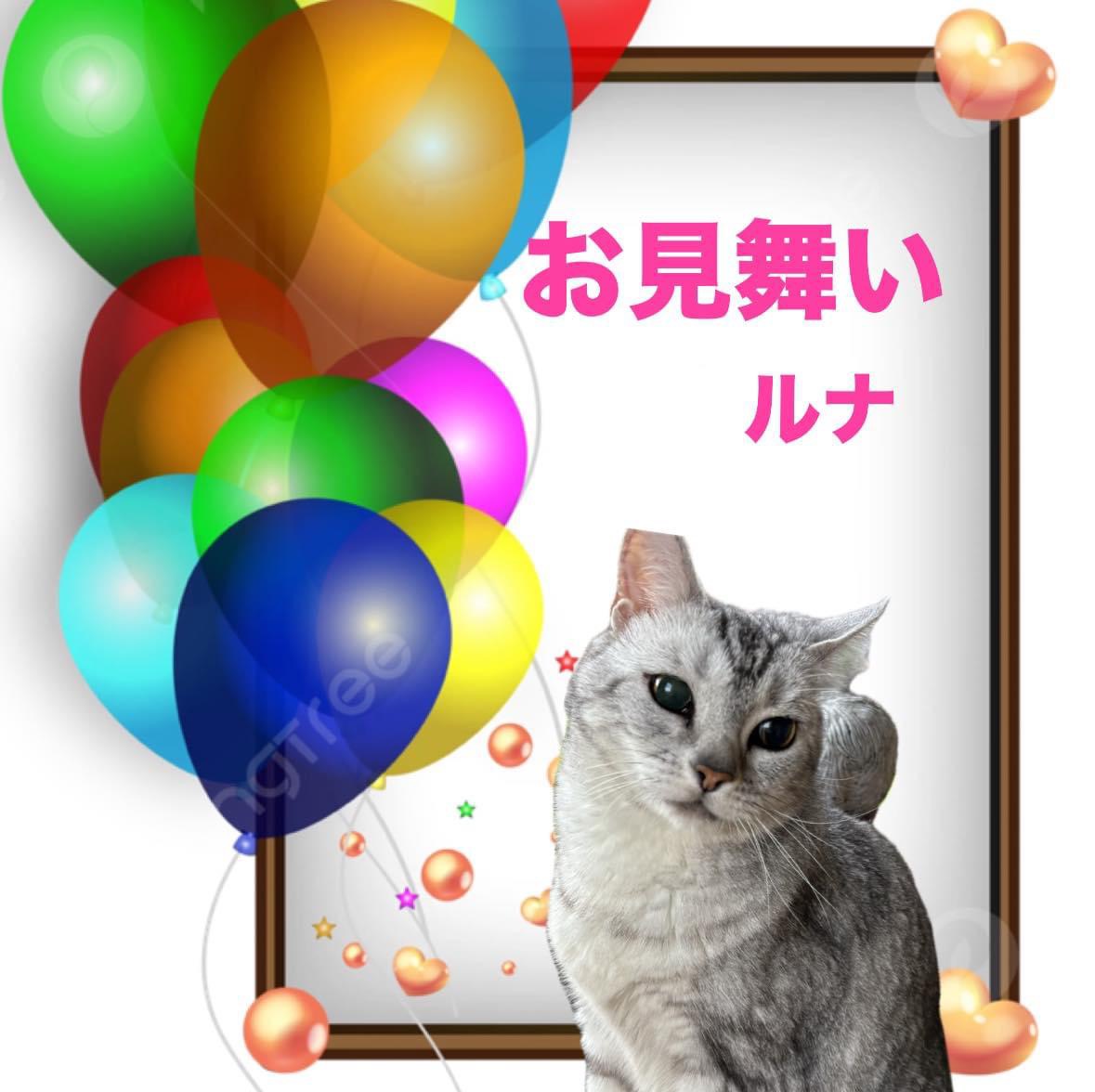 IMG_6800.jpeg