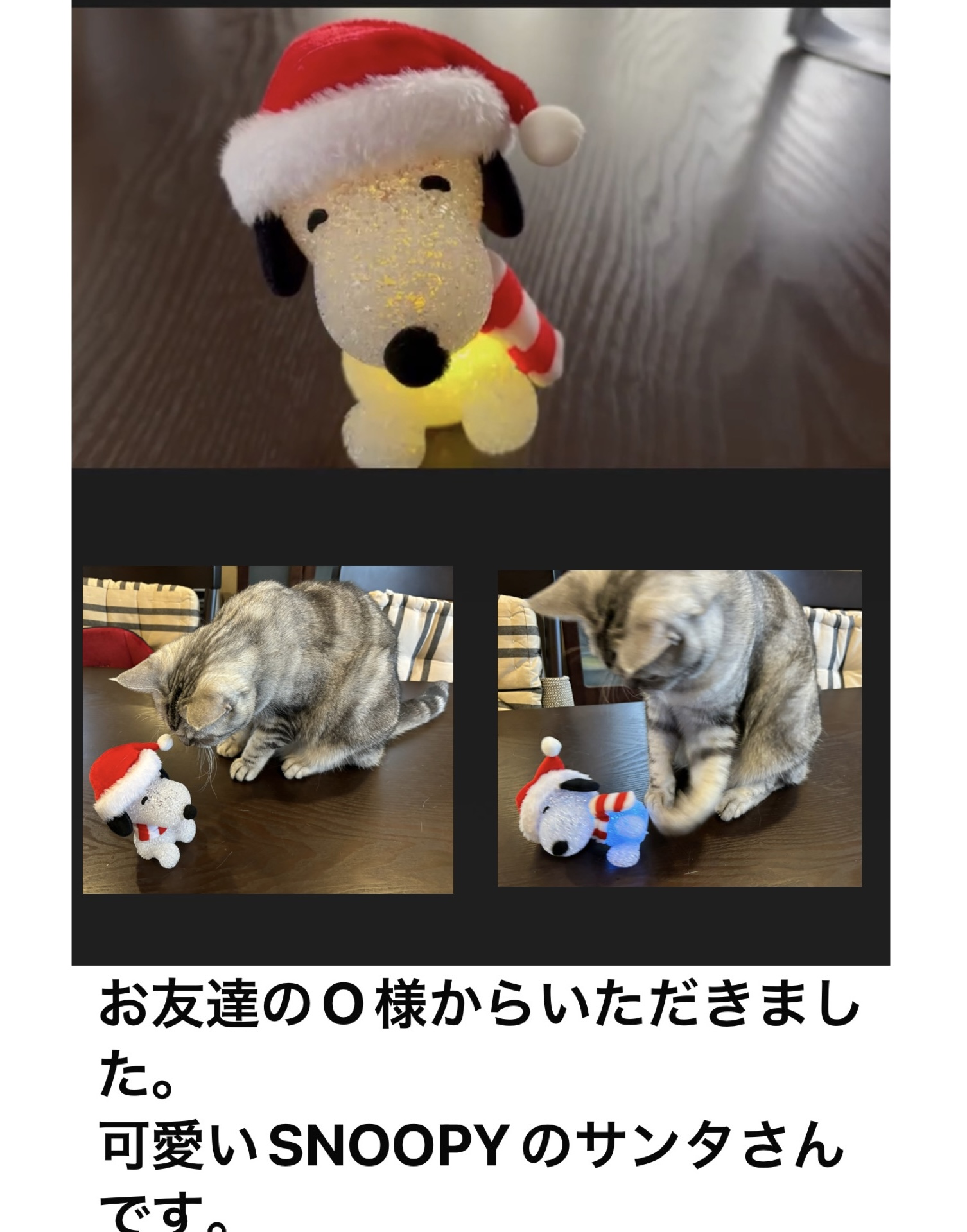 IMG_6957.jpeg IMG_6957.jpeg