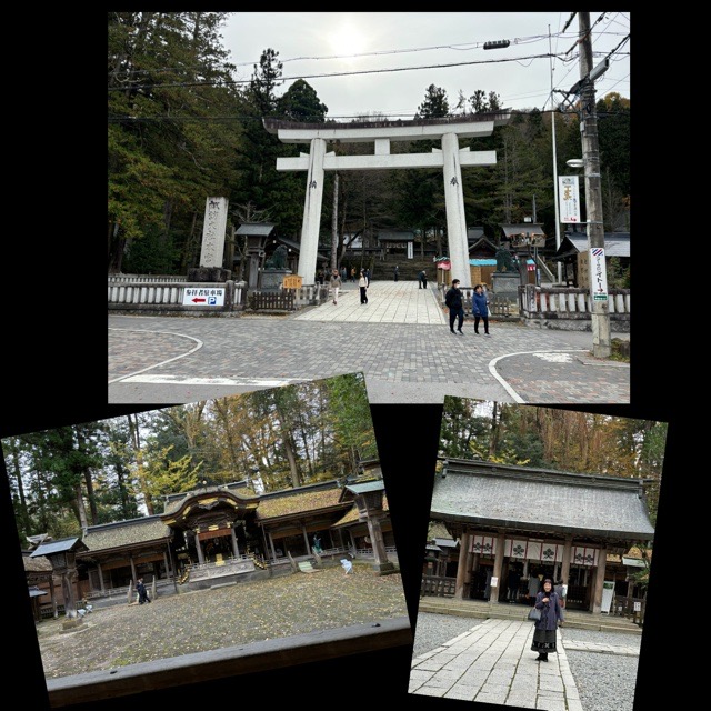 IMG_7157.jpeg IMG_7157.jpeg