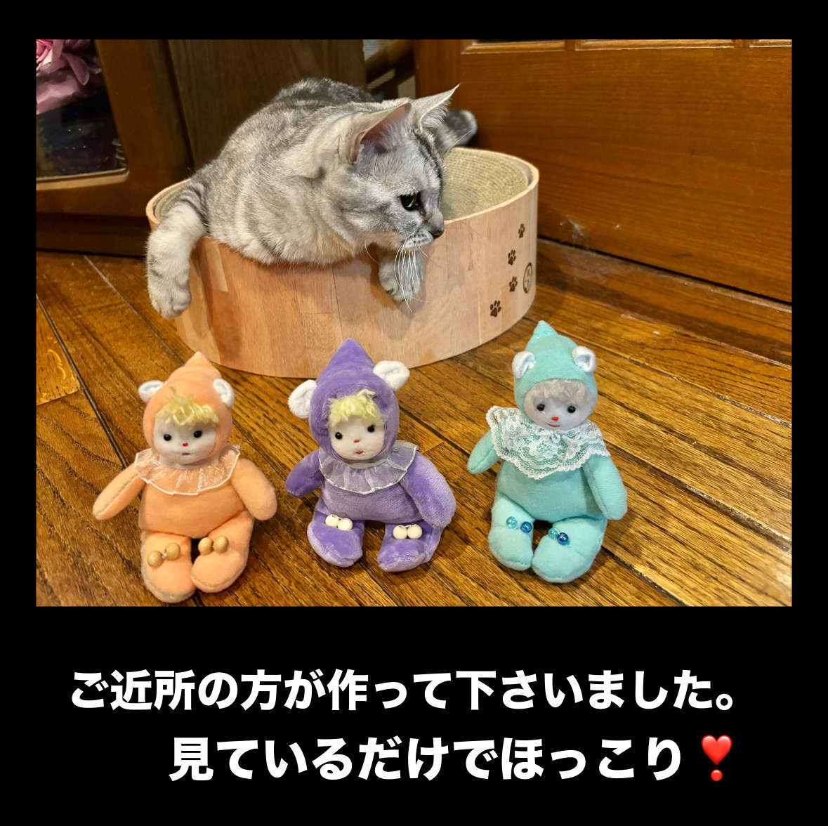 4ECF36F6-DF51-4F6B-8B75-8D21A0B1BE05.jpeg