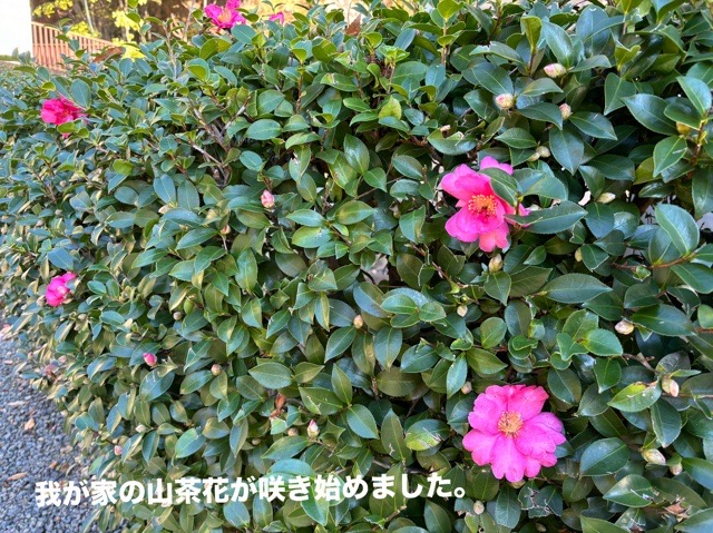 B3D22EB1-BA23-4F3E-8568-C3DA965B3679.jpeg B3D22EB1-BA23-4F3E-8568-C3DA965B3679.jpeg