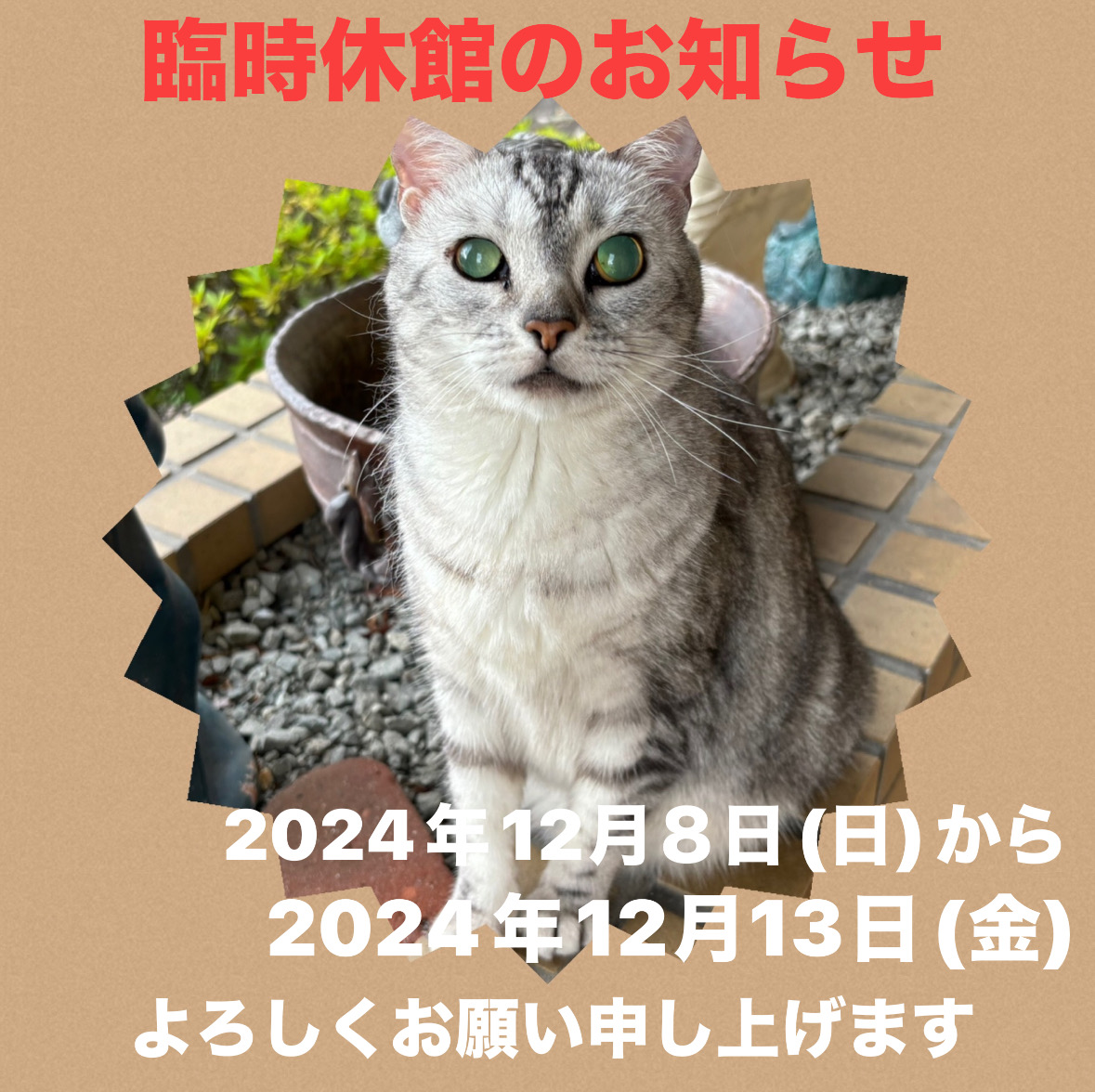 3F0A154F-7E73-42FD-A7E1-586F63927174.jpeg 3F0A154F-7E73-42FD-A7E1-586F63927174.jpeg