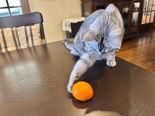 IMG_8365.jpeg