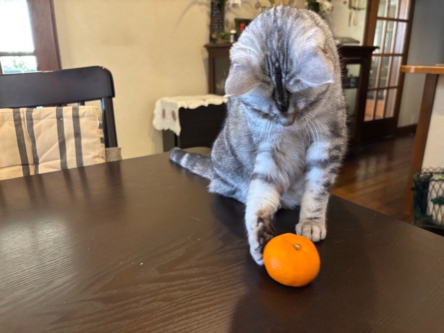 IMG_8366.jpeg