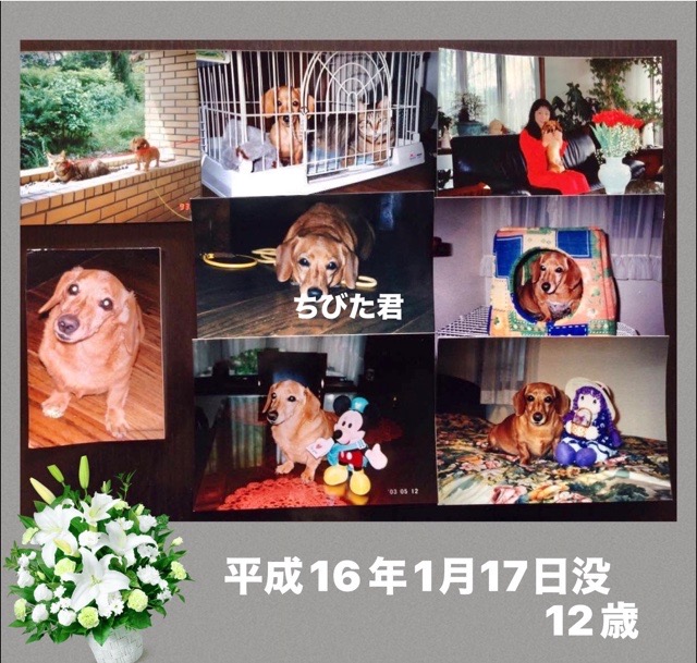 3D877A7E-2CF4-45B6-B18E-D58DC0B5E839.jpeg