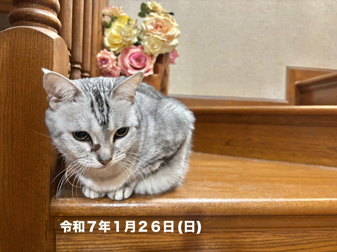 9D998142-7F60-403F-A06F-616DC3232B21.jpeg