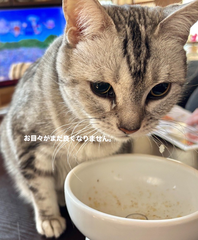 6DF171EA-7BD0-4FB4-9C7E-7A8A969E04D9.jpeg