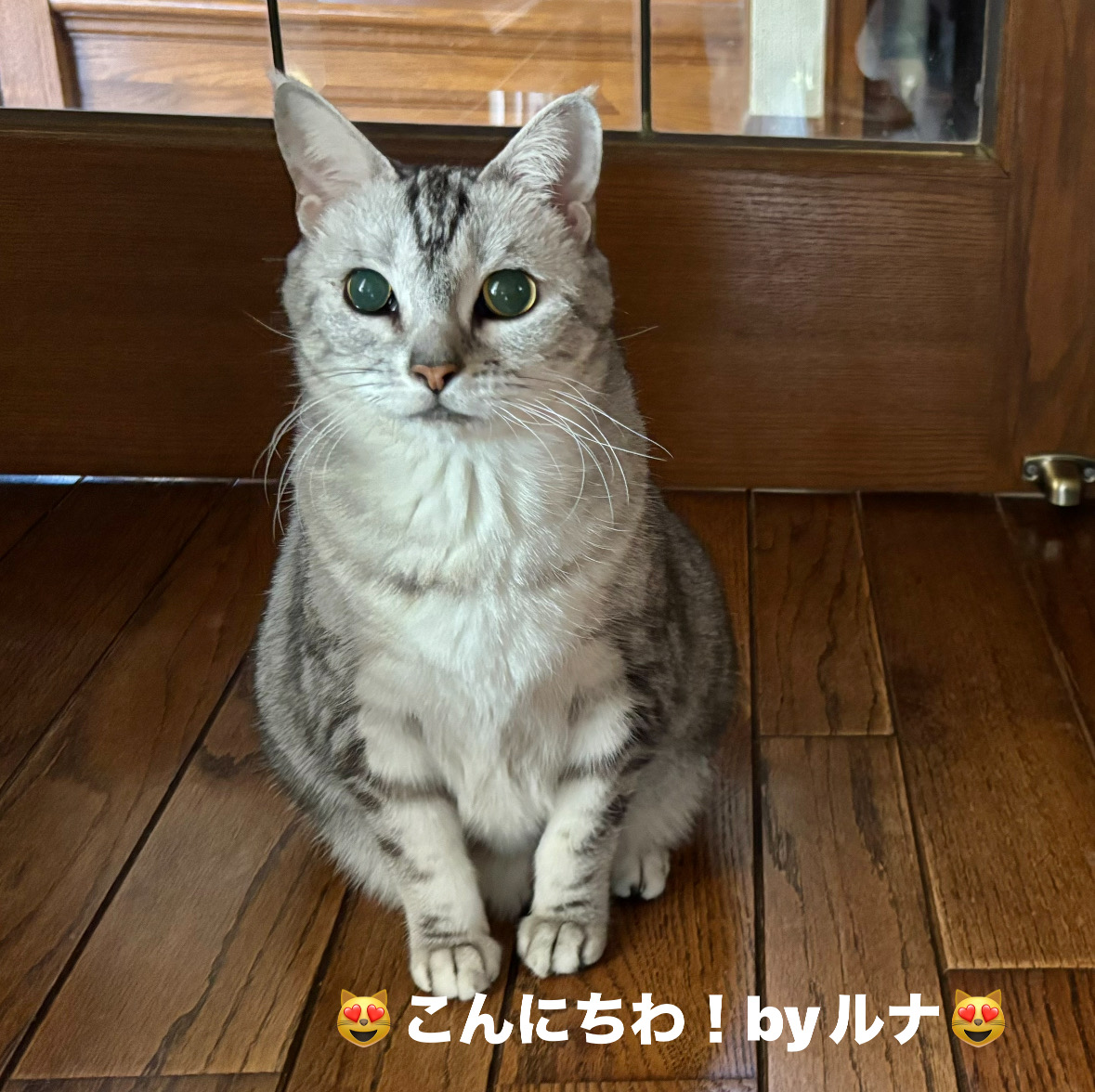 B245944C-4D37-4F22-A206-B56DCBD37C28.jpeg B245944C-4D37-4F22-A206-B56DCBD37C28.jpeg