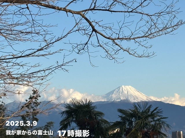 DA2135F6-B157-46E1-B7AE-56C15730CFFB.jpeg