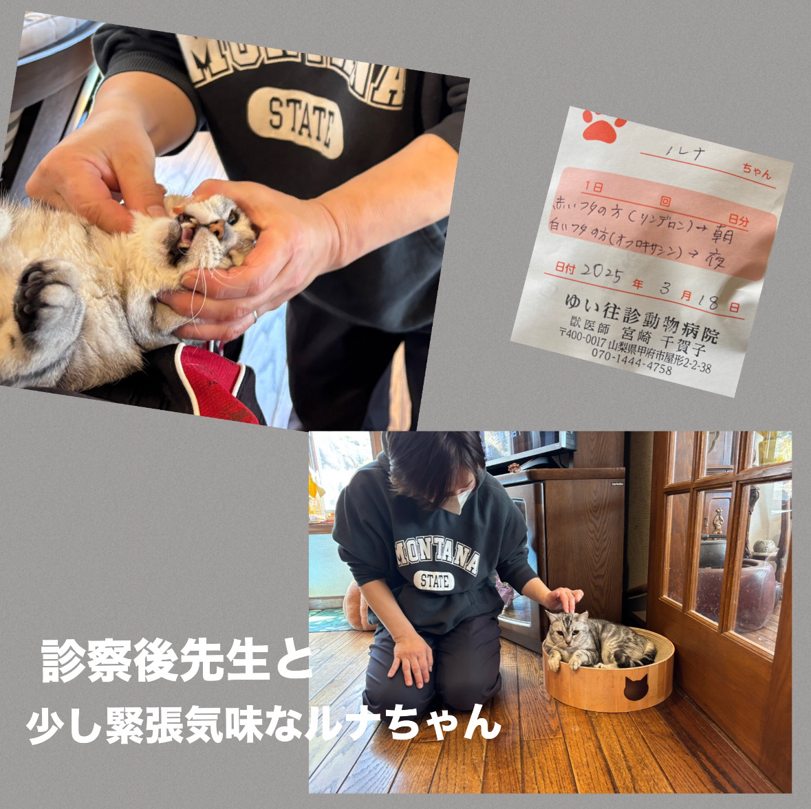 5452060A-C77A-4A98-AC49-F0D39A2F20D7.jpeg