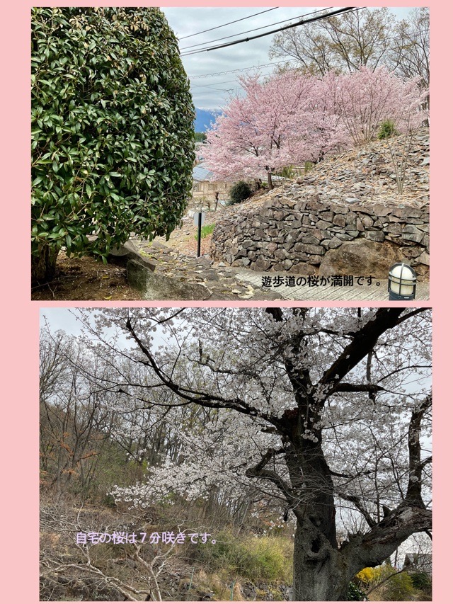 IMG_0077.jpeg