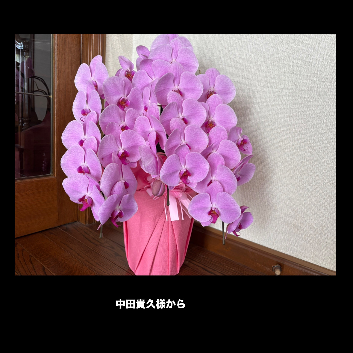 D1AD11BD-B5EC-4AFC-93BA-4698ED0A46E5.jpeg