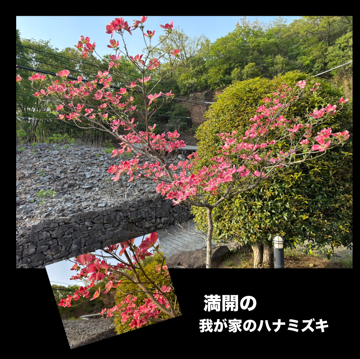 8C135D37-18AD-4B99-8791-92F092E8EB11.jpeg