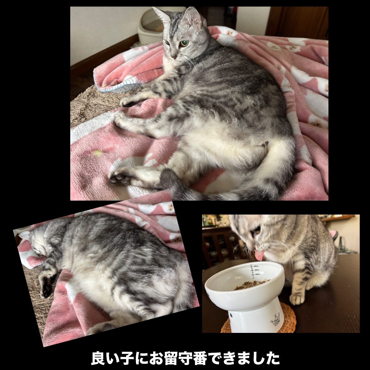 662FDEC7-FBDA-4588-840C-94915E6FFAE6.jpeg