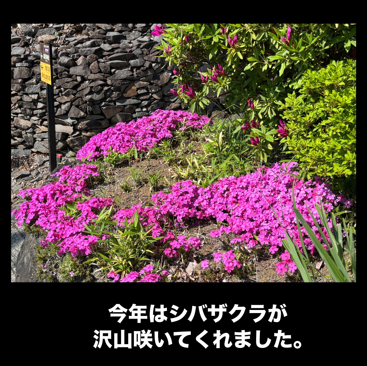 E4B1DE70-60E9-4254-AF0F-04A2014BA4BD.jpeg
