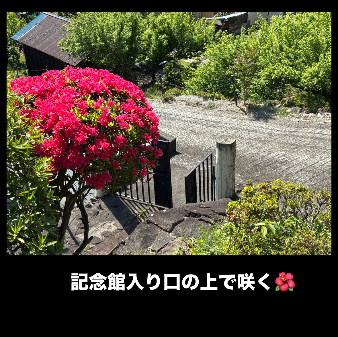 822A2D1A-ACED-48A4-9177-AE85591A8329.jpeg