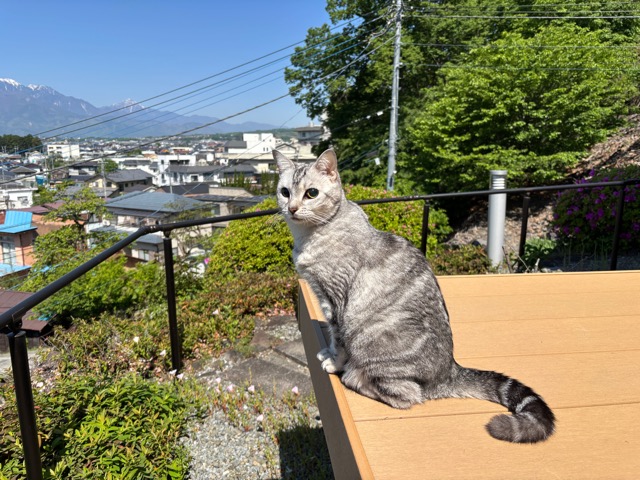 IMG_0518.jpeg