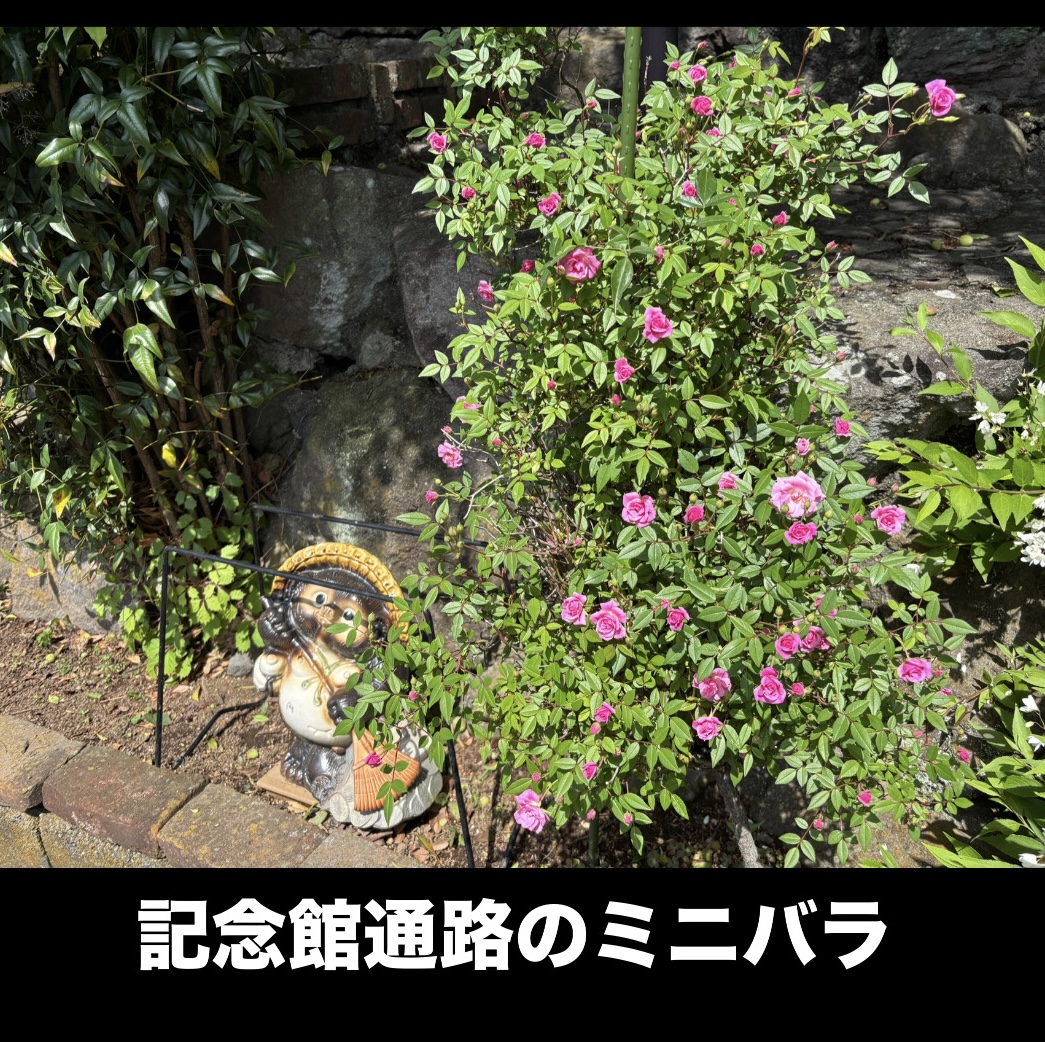 480047F8-1194-4D82-BCC3-A6B2BBFFE3C1.jpeg 480047F8-1194-4D82-BCC3-A6B2BBFFE3C1.jpeg