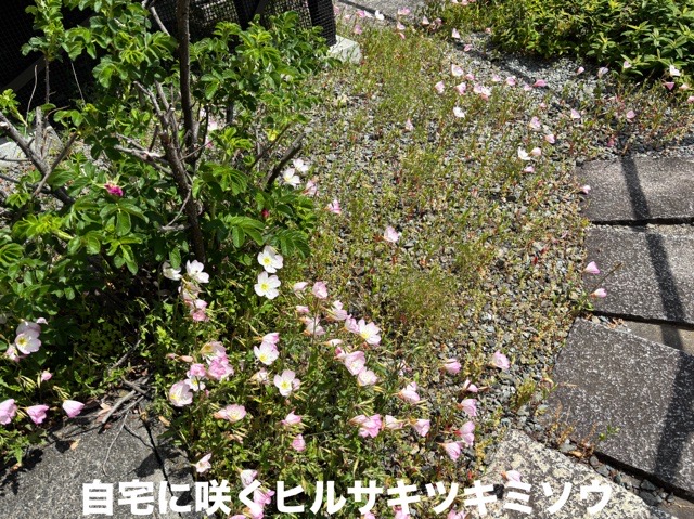 576090C1-47D9-4E5E-9CDD-81A3C4AE6382.jpeg 576090C1-47D9-4E5E-9CDD-81A3C4AE6382.jpeg