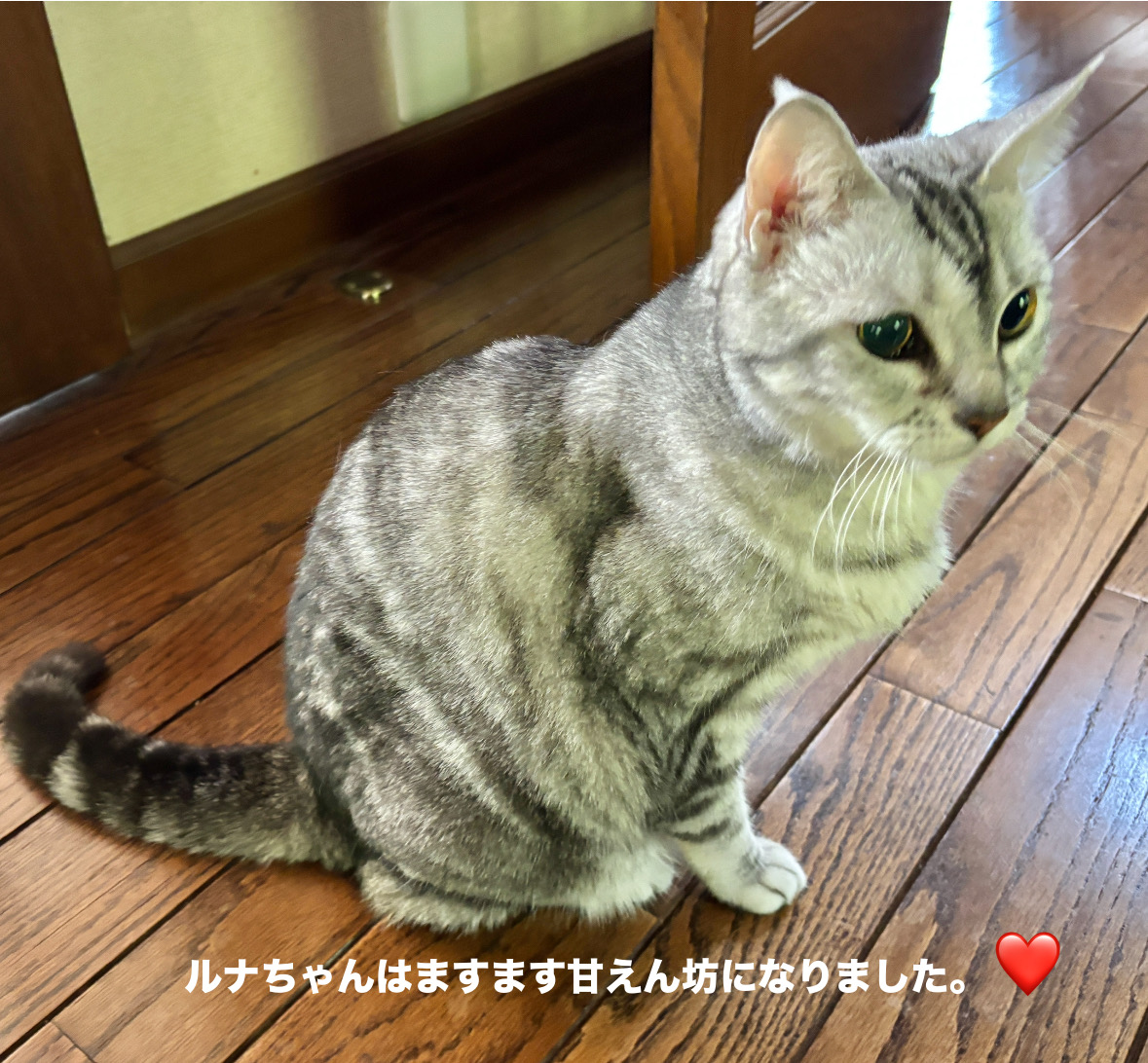 6627A5E3-358D-4BDA-B08A-34EFB8B06AD7.jpeg 6627A5E3-358D-4BDA-B08A-34EFB8B06AD7.jpeg