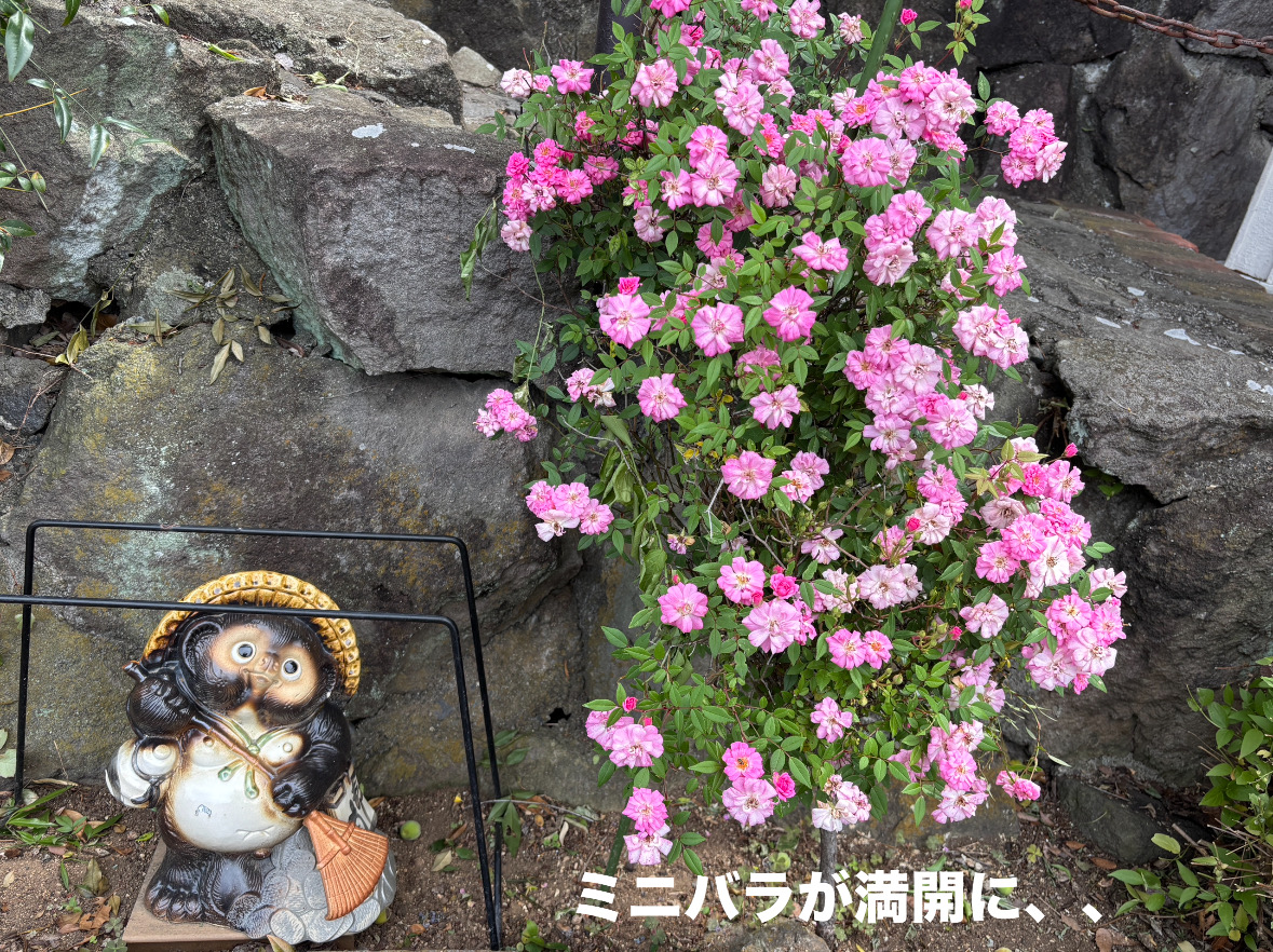 0AF3D283-0C73-415E-BA74-6371B5E9ACD1.jpeg