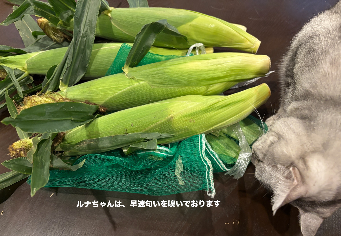 6AF8D637-24C0-4D3B-BE84-4DC56356B42B.jpeg