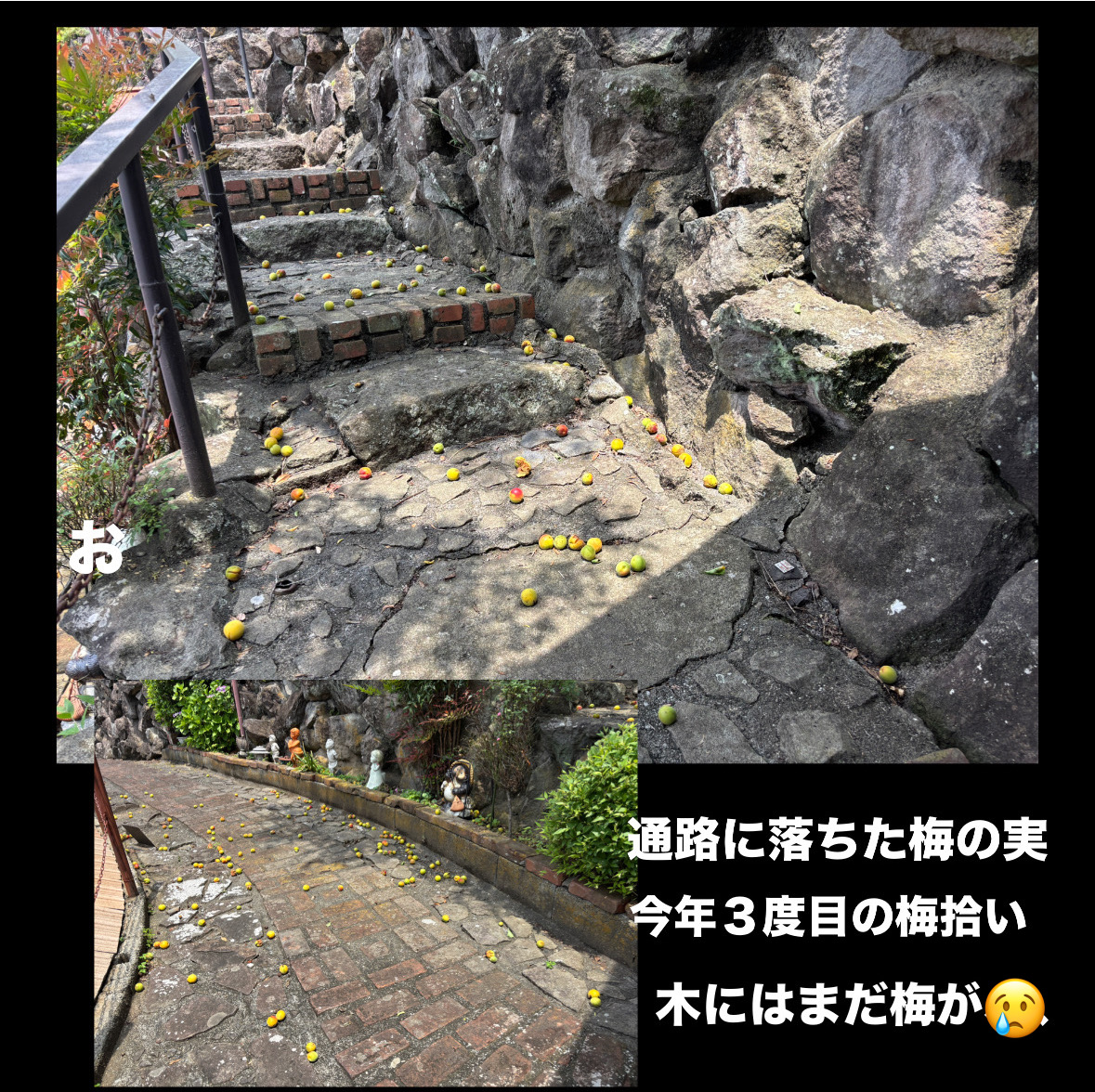 3270394E-DC9E-4FFE-98F5-F43999668234.jpeg