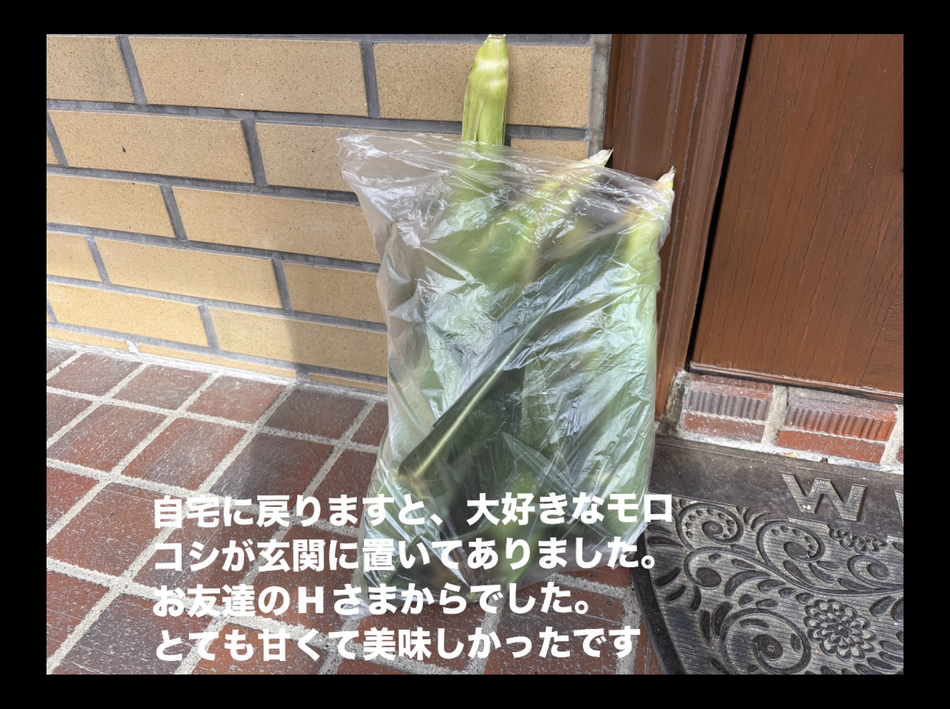 IMG_1940.jpeg