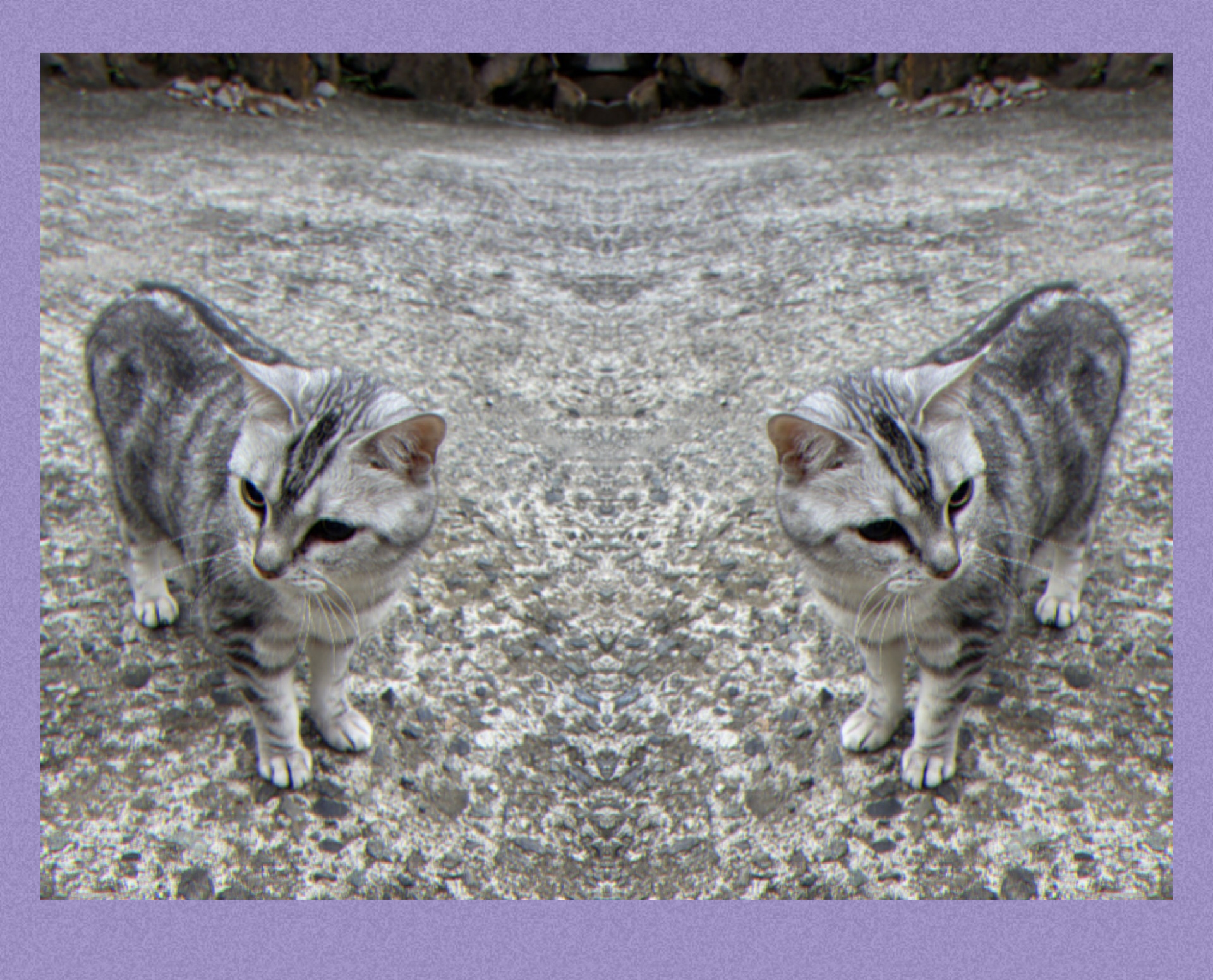 IMG_1938.jpeg