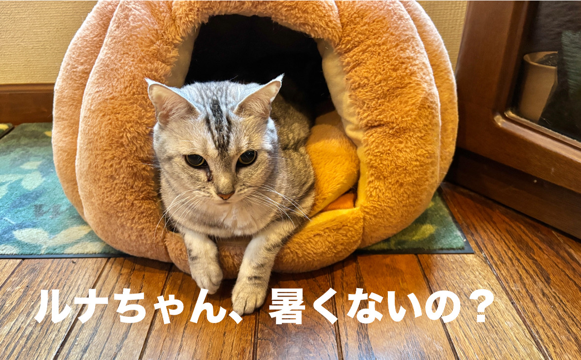 8FB8277C-24B5-412E-A28F-B050A3C4ED59.jpeg 8FB8277C-24B5-412E-A28F-B050A3C4ED59.jpeg