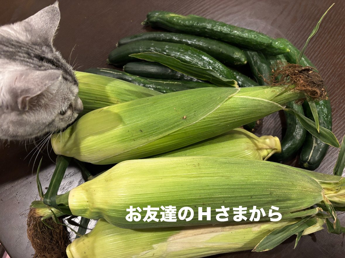 60D4B862-03B0-4767-9DE4-7D98D8A9BF0D.jpeg