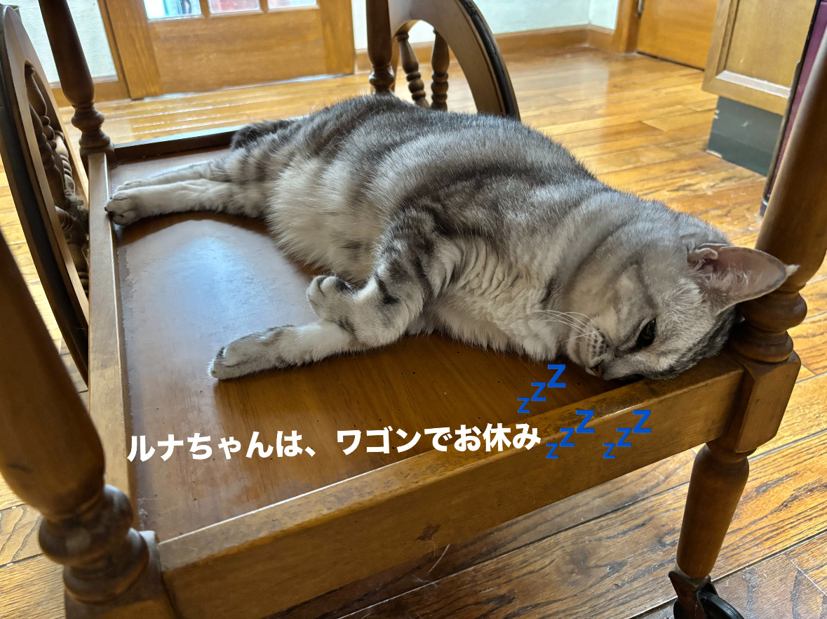 9F9B6270-C817-4FB2-8641-11BE1EB897C9.jpeg