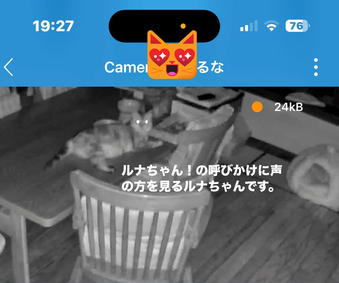 15CE4CAA-3D58-4D69-ACA8-5BF3E0EE8496.jpeg