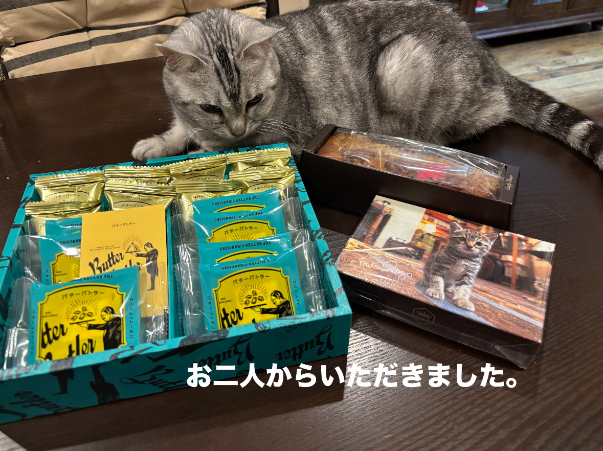 99D62907-A965-4782-B4CD-D3E7AF69A7CF.jpeg 99D62907-A965-4782-B4CD-D3E7AF69A7CF.jpeg