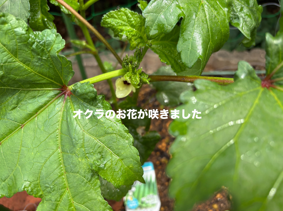 86E41EDC-88DB-4069-A299-A1572F9946EF.jpeg