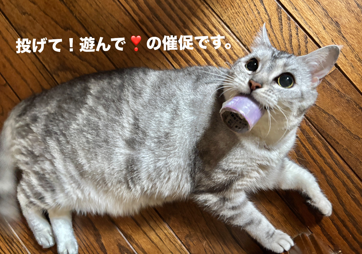 25EAA50E-4B21-40EC-8632-B841AF089D90.jpeg