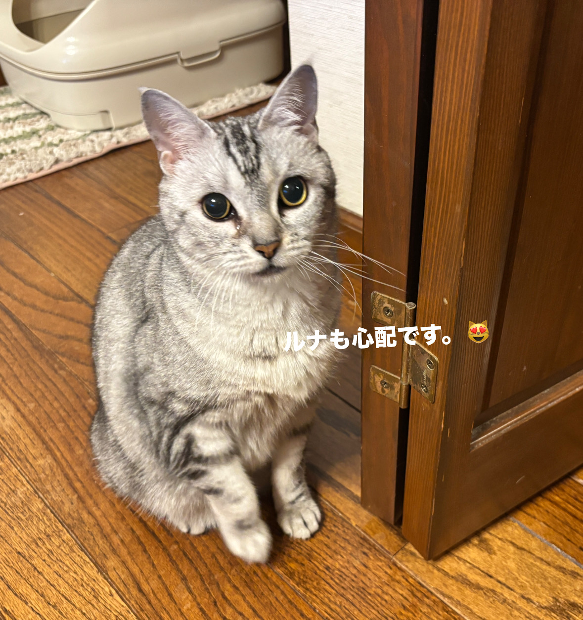 F0C58023-EE41-41EB-B118-66065AC09716.jpeg