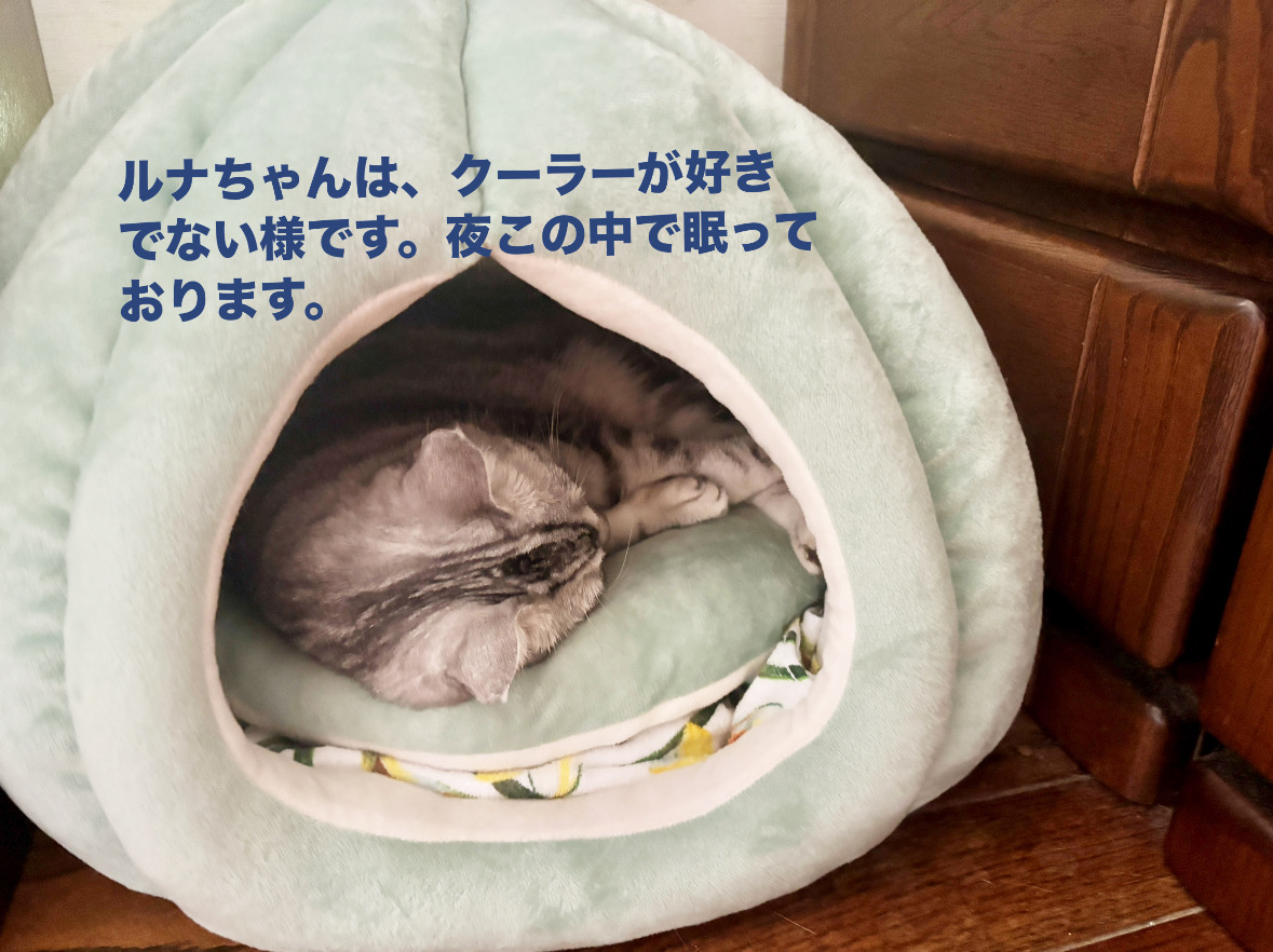 CBF2711E-D003-4184-B0FE-C1A1BEB1DD71.jpeg